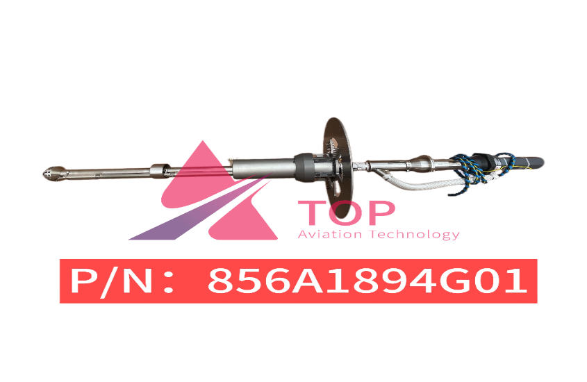 856A1894G01